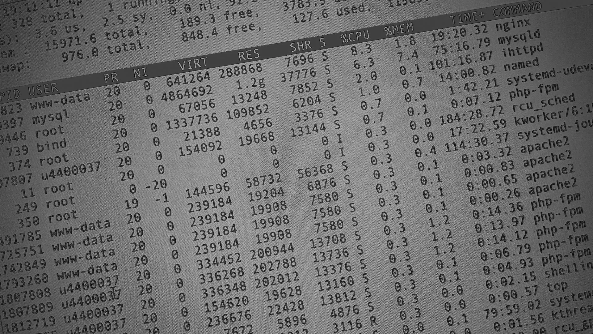 Настройка сервера в Зеленоградске